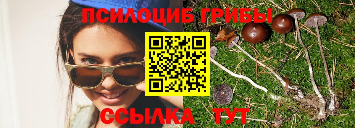Псилоцибиновые грибы MAGIC MUSHROOMS  Вход с VPN  Трёхгорный 